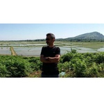 علیرضا باقری خمامی