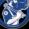 محمدامین ضیایی