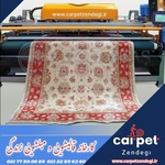 رحیم سجودی ملایی