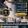 علیرضا آقایی