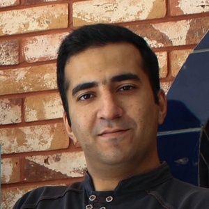 سید مهدی مریخی