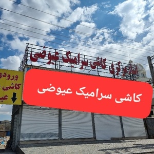 رضا عیوضی