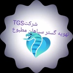 محمد رحیمی