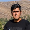 سعید فتحی