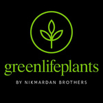 اشکان نیکمردان