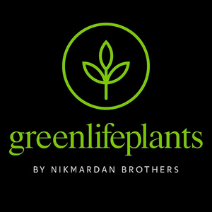 اشکان نیکمردان