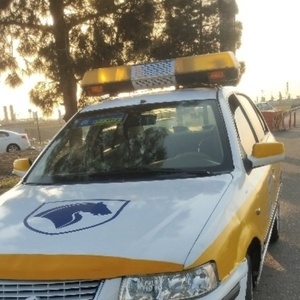 ربابه بیاتی