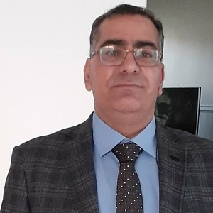 محمد حسین اعلایی