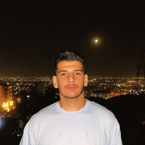 سید سیاوش حسینی