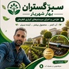 ابوالقاسم جمالی