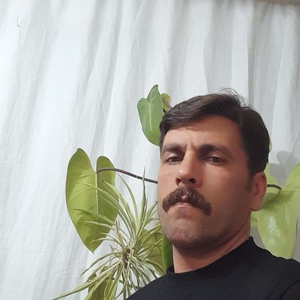 علی جان عدنانی