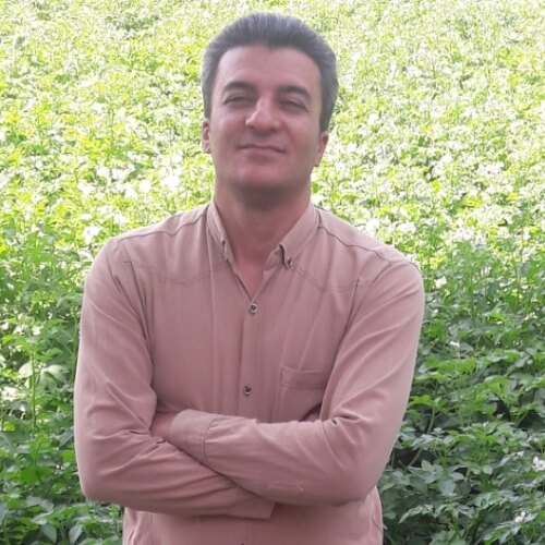 محمد سلمانی