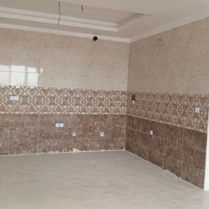 مسعود  انصاری 