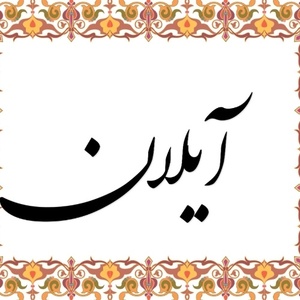 امیر رجبی پهنه کلائی