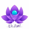 ایمان مولائی