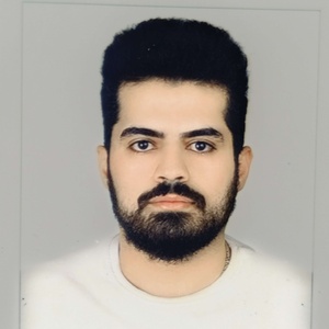 مهدی حسنی