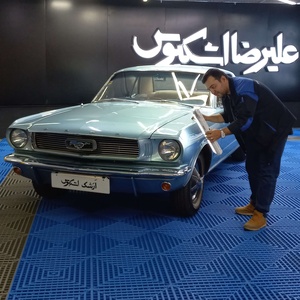 سید امیر علومی