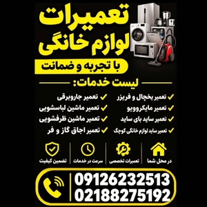 پرویز نظری