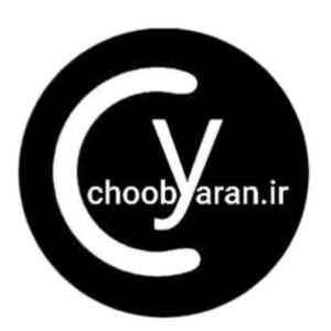 مجتبی تقی خانی دیجوجین