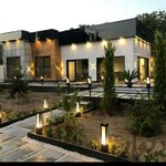 مسعود باباعلی