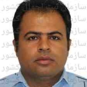 حامد عباسی