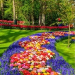 مهدی منادی