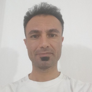 وحید سلیمی