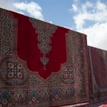 نسرین جعفری
