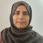 سیده زهرا ارزم