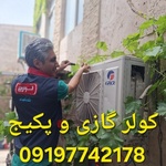 پیمان بالابیگلو