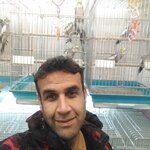 مهدی خوبکار