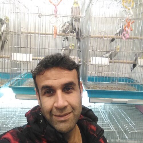 مهدی خوبکار