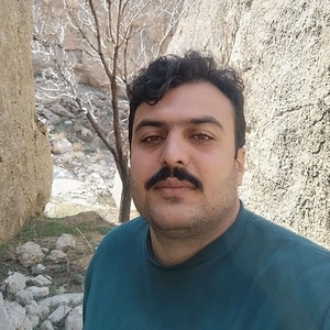 بهمن شجاع مقدم