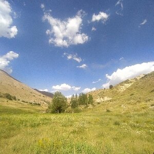 مهدی همتی بهار