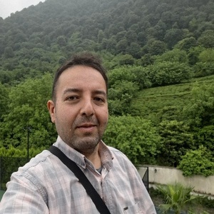 هادی فیضی