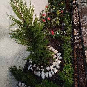 صادق سبحانی