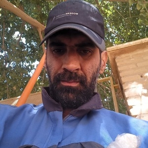 جمشید مطلبی