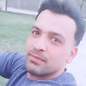 محمد اسماعیلی اورگانی